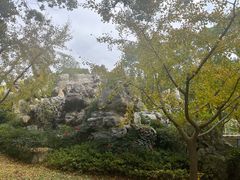 -上海鲜花港