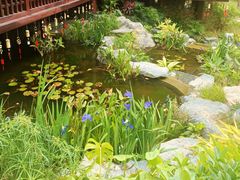 -深圳国际园林花卉博览园