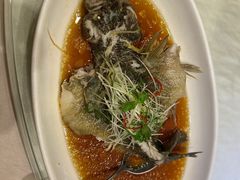 -骏莱海鲜鱼港(五角场店)
