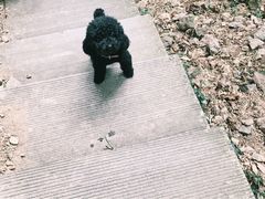 -宁波五龙潭景区