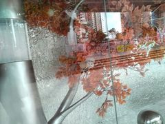 -天虹购物中心(深圳龙华店)