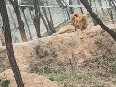 -石家庄市动物园