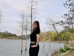 -凤岗南门山森林公园
