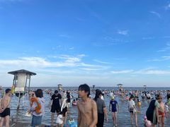 -碧海金沙