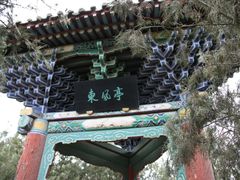 -白塔山公园