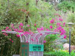 -深圳国际园林花卉博览园