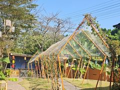 -陶缘一号·四季缘·老字号顺德菜·户外婚礼家宴(西滘店)