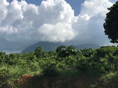 -西涌国际滨海旅游区