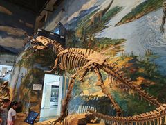-自贡恐龙博物馆