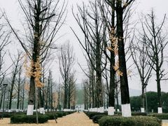 -两江幸福广场