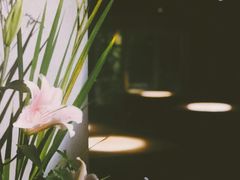 -穹六人间 people 6(岳阳路店)