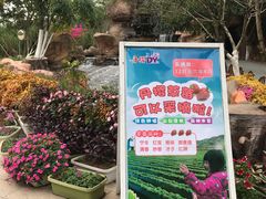 -丹樱生态园