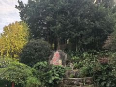 -乌山风景区