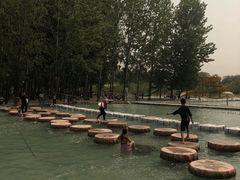 -东方巨龟苑景区