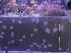 -南昌海洋公园