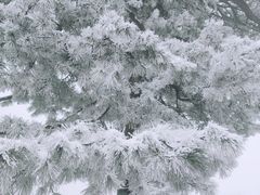 -秦岭终南山世界地质公园翠华山景区