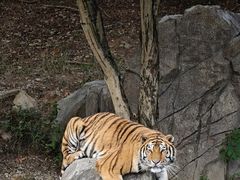 -宁波野生动物园