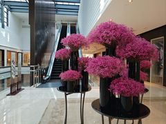 -上海中航虹桥机场泊悦酒店