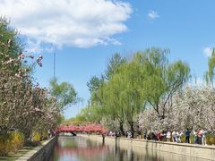 -元大都城垣遗址公园