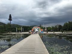 -白马涧龙池景区
