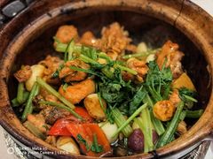 沙姜嗜鸡-煲煲好(朝阳门店)