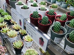 -喜茶(无锡荟聚中心店)