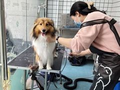 -格蕾宠物医院24H·猫科·肿瘤科·骨科中心(福州总院)