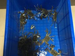 -蟹小姐节气生鲜·年货(高新店)