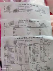 -北京安琪