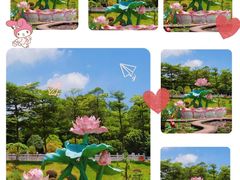 -广州莲花山旅游区