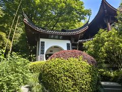 -十八棵（老龙井）御茶园(老龙井店)