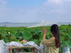 -七的湖·晚芳亭·阳澄湖农家菜·大闸蟹(莲花岛店)