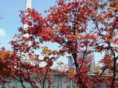-百林公园-两江幸福广场
