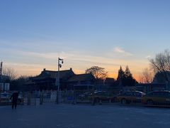 -莲花池公园