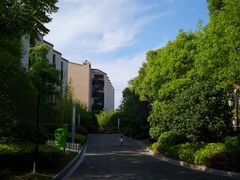 -上海崇明金茂凯悦酒店