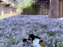 -长白岛森林公园