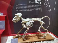 -国家自然博物馆