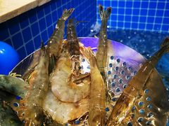 -乔哥铭洋海鲜自助(皇城恒隆广场店)