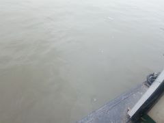 -长洲渡车船码头