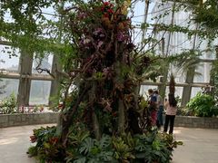 -北京植物园-展览温室