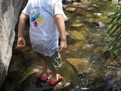 -碓臼峪自然风景区