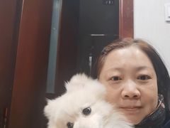 -BABIT巴比特宠物(MOMOPARK店)