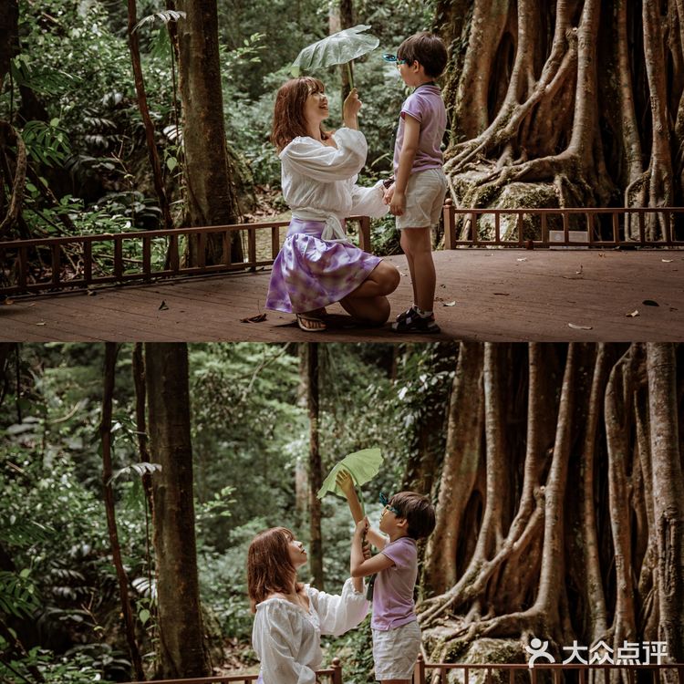 版纳亲子游Ⅰ热带雨林原来可以这么好玩！！