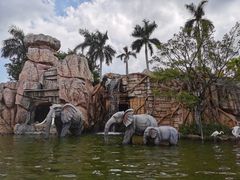 -美的鹭湖探索王国