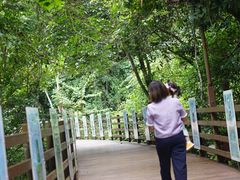 -野象谷景区
