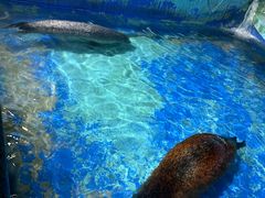 -太平洋海底世界