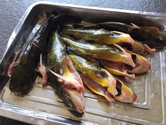 -荣德灶台鱼(圣泉寺店)