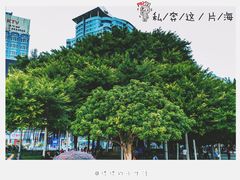 -北部湾广场
