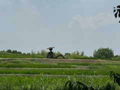 -乌村