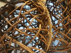 -禾珍珠家常小馆(河南博物院店)